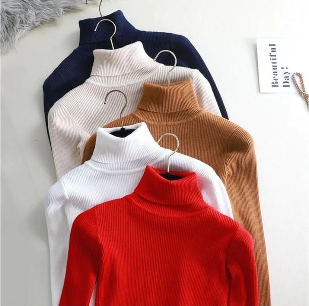 CH 379 Bloom's Winter Bliss Basic Plain Fleece Ribbed Cotton Warmth High Neck